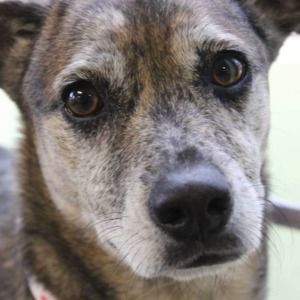 Meet your Posher, Gretchen